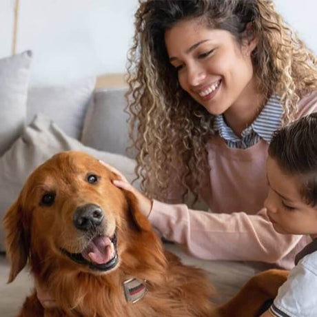 Pet Safety Tips
